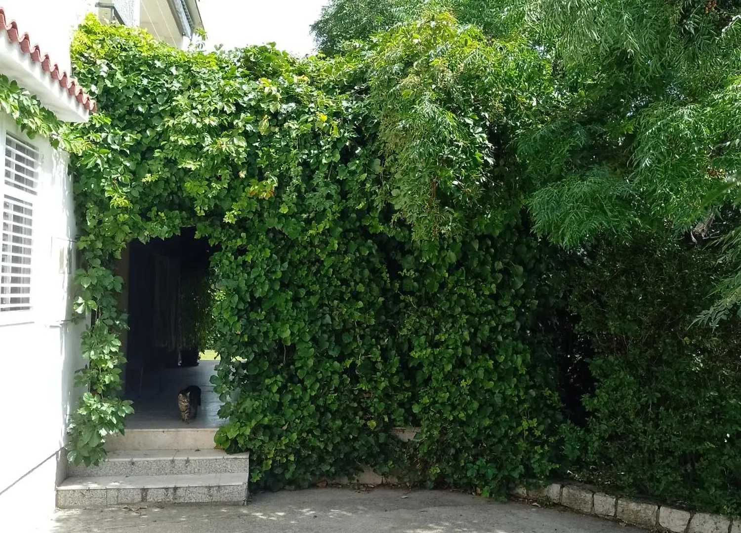 Pan-Rab Apartamento Rab Town 0*,  Croácia